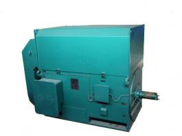 YKK、YXKK高壓三相異步電動(dòng)機(jī)高壓電機(jī)6KV 10KV高壓電機(jī)