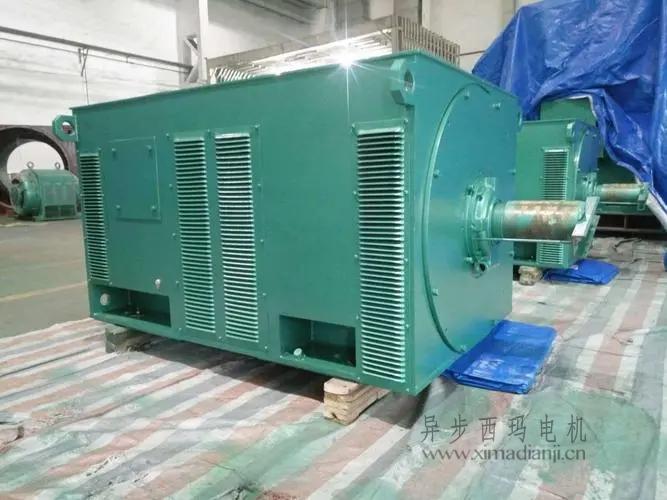 西瑪電機Y5603-10 560KW 10KV<a href=http://www.grglzx.com/gysxybdj.html target='_blank'>高壓電機</a> 西瑪電機Y5603-10 560KW <a href=http://www.grglzx.com/new/new-47-621.html target='_blank'><a href=http://www.grglzx.com/new_tags_225.html target='_blank'>10kv高壓電機</a></a>